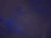 yyac.7_ Altpins Profile Picture