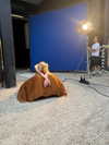 nicolekidman Altpins Profile Picture