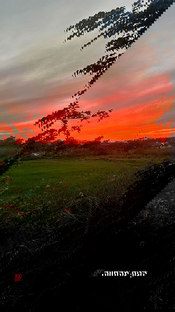 _wizardmidget_ _wizardmidget_ archive image