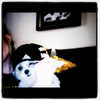 ashleybenson Altpins Profile Picture