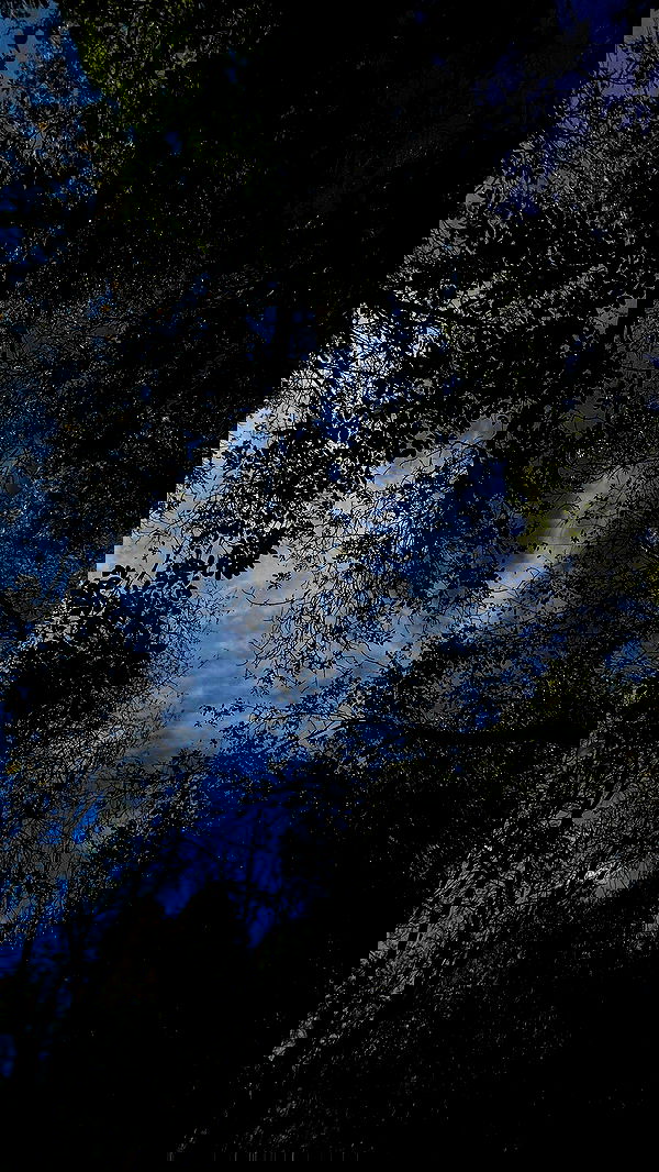 aekamee aekamee archive image