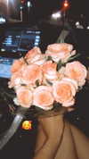 maori_cohen Altpins Profile Picture