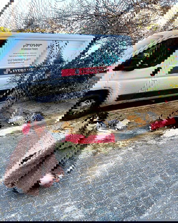 strawberryshanz strawberryshanz archive image