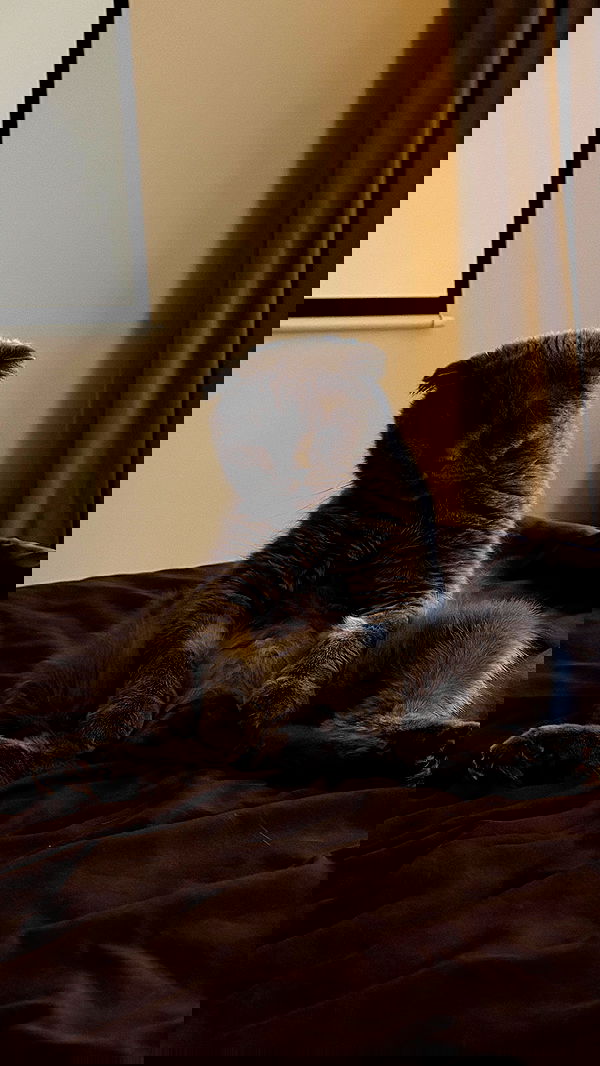 onlykrisssty onlykrisssty archive image