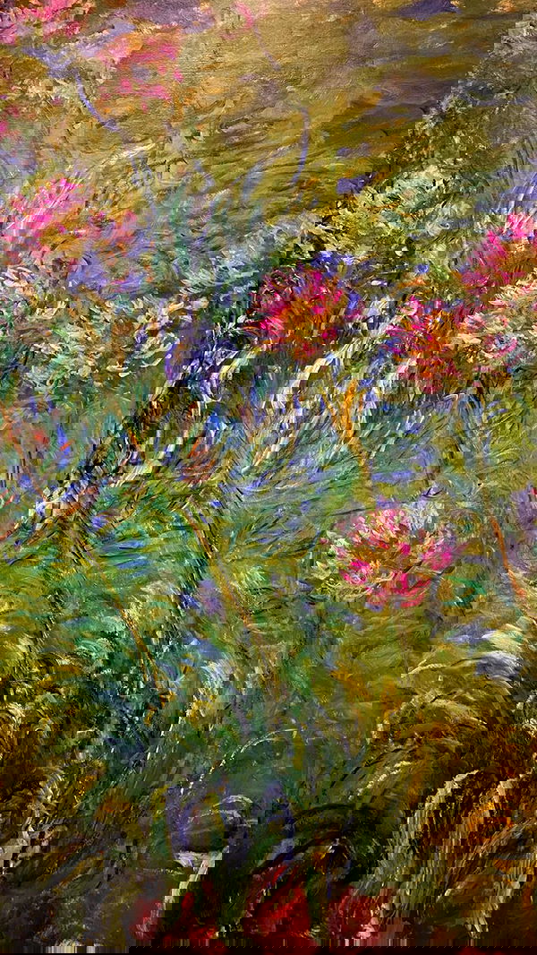 taylor.creeden taylor.creeden archive image