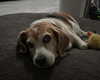 gissell_eli Altpins Profile Picture