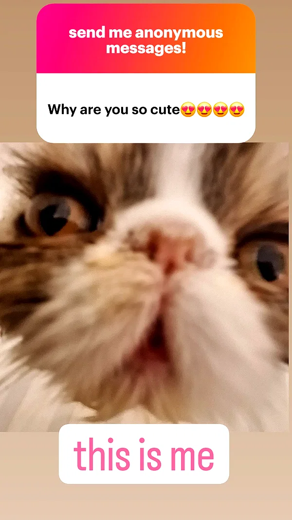 mirekyarahire instagram image archive image