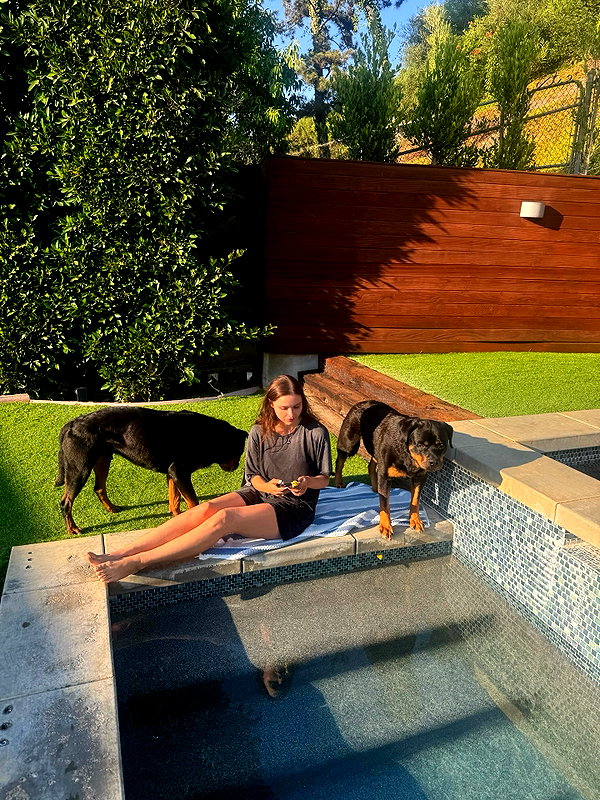 sophiemudd sophiemudd archive image