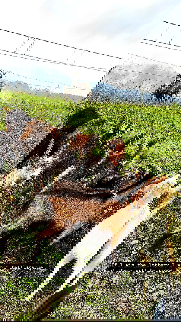 taylor.creeden taylor.creeden archive image