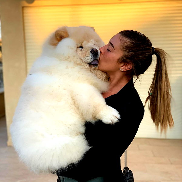 annezivi instagram image archive image
