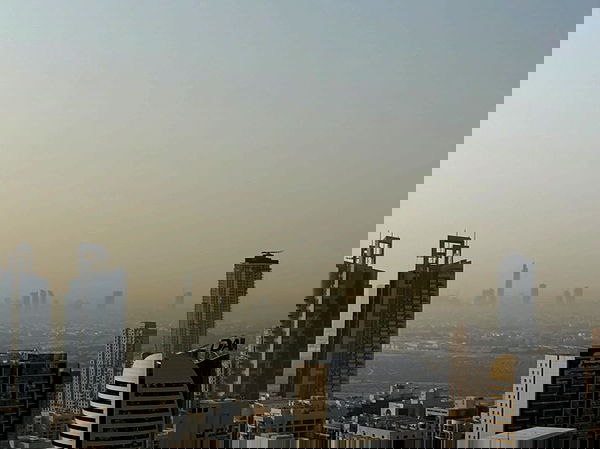 pollcherri pollcherri archive image