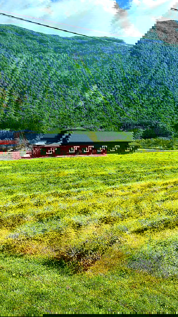 taylor.creeden taylor.creeden archive image