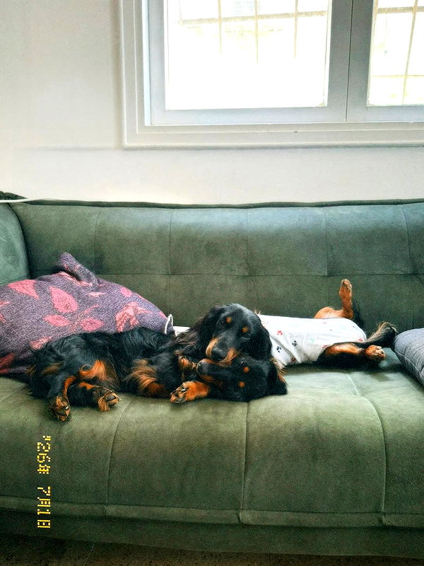 libby_reut instagram image archive image