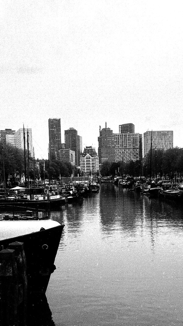 liashaked liashaked archive image