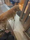gisellelee8 Altpins Profile Picture