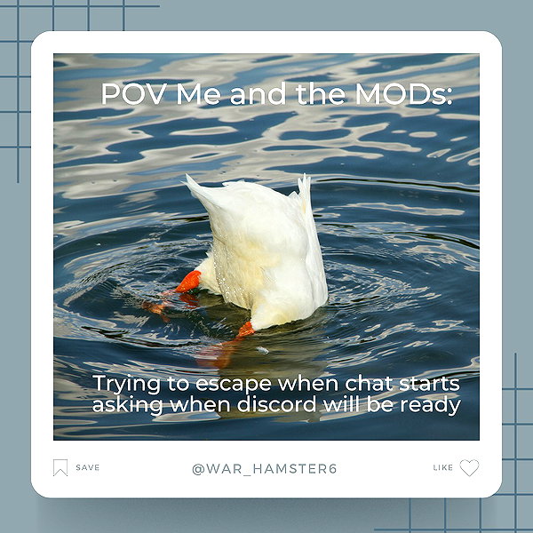 war_hamster6 instagram image archive image