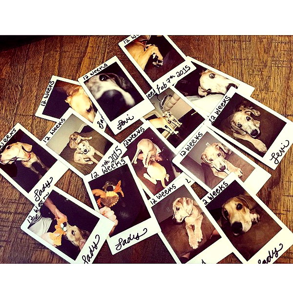 sashapieterse instagram image archive image