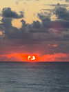 shira_adar_ Altpins Profile Picture