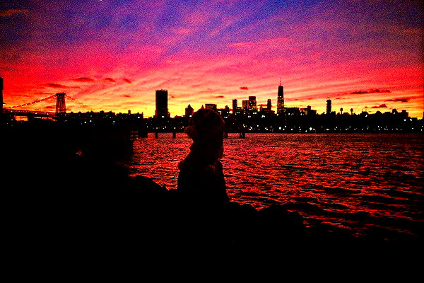 bugz4brainz instagram image archive image