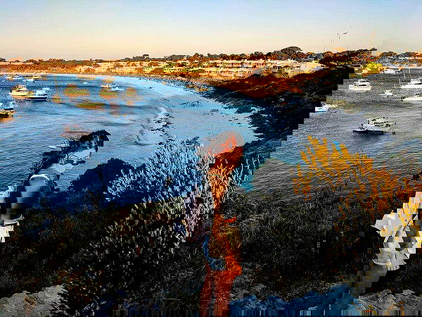 jtilb image ~ Altpins