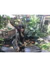 biohazard.g1rl Altpins Profile Picture