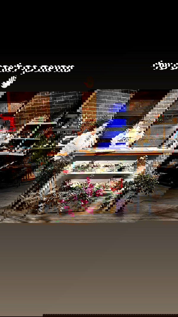 laluzone laluzone archive image