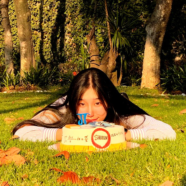 shulunc instagram image archive image