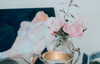ashleybenson Altpins Profile Picture