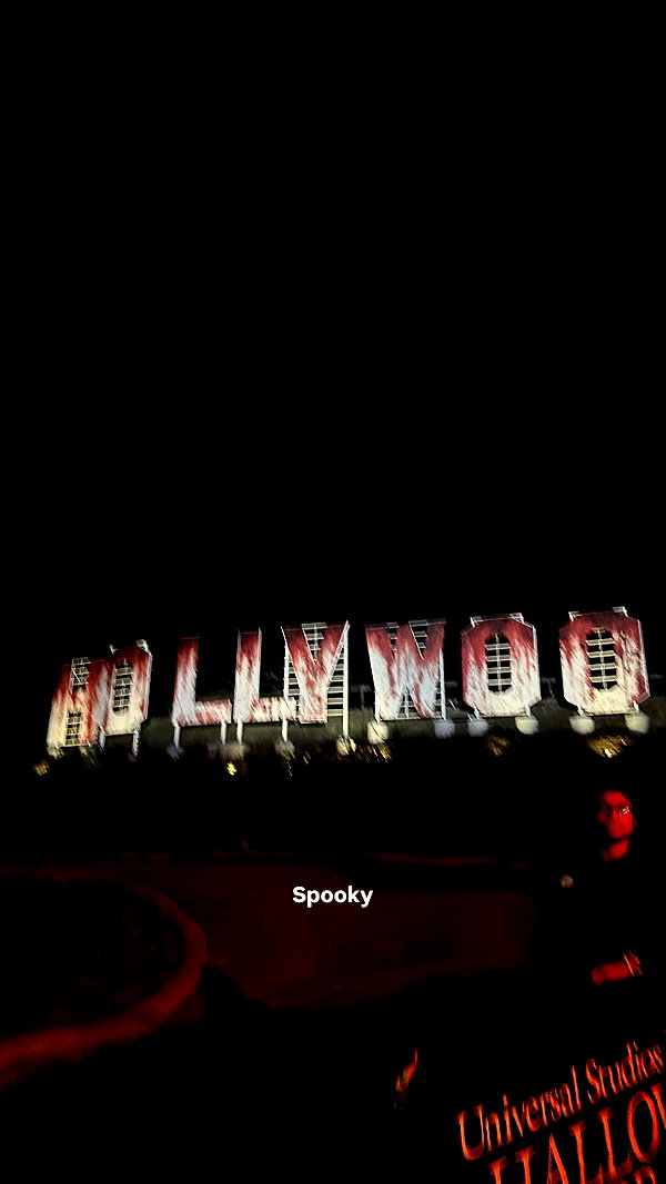lizrrossi instagram image archive image