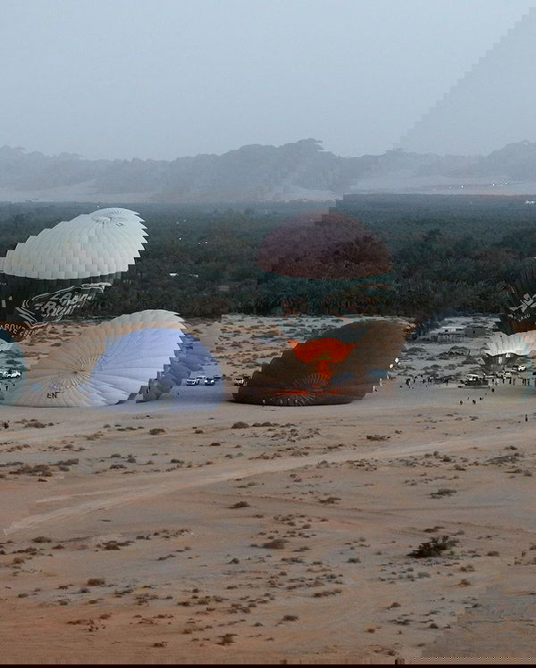 taylor.creeden taylor.creeden archive image