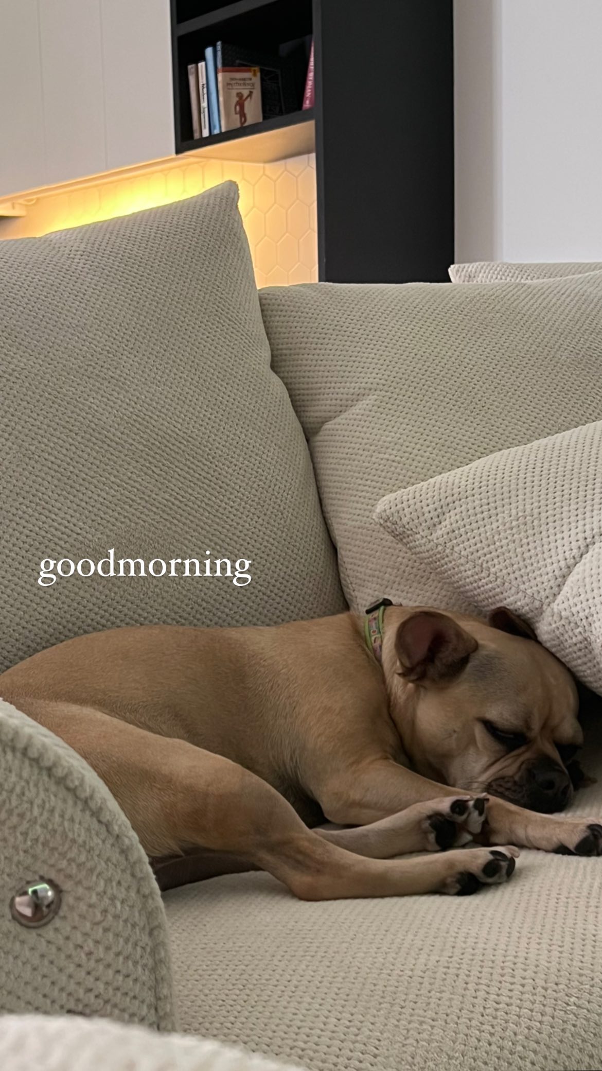 leonanaomii instagram image archive image