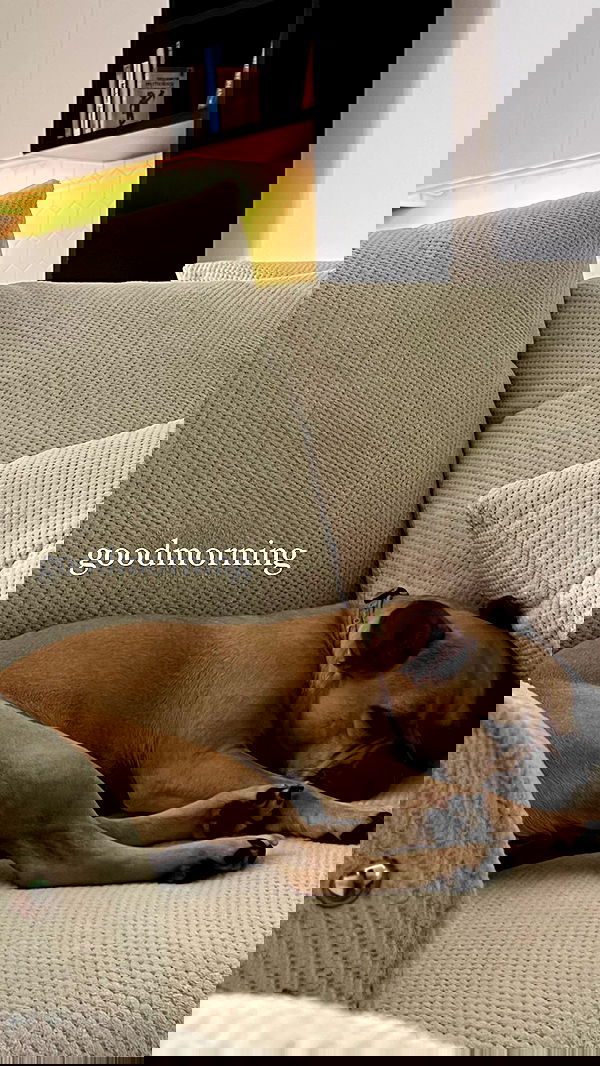 leonanaomii image ~ Altpins