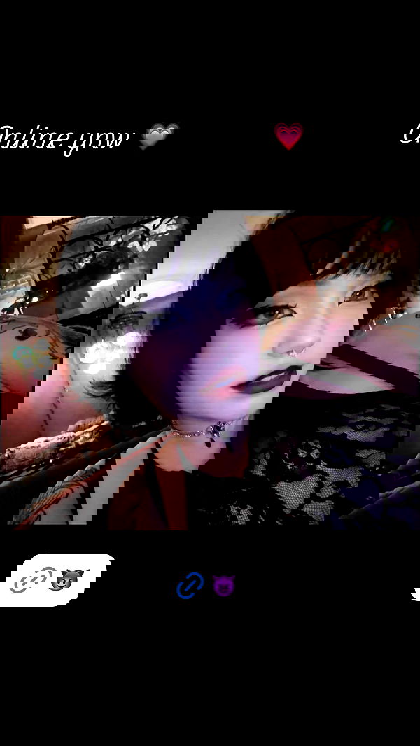 nixxi.cat nixxi.cat archive image