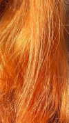 babynympho_archive Altpins Profile Picture
