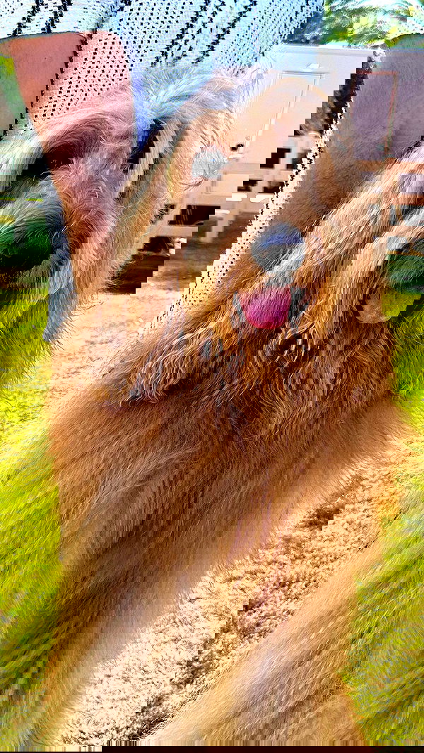 taylor.creeden taylor.creeden archive image