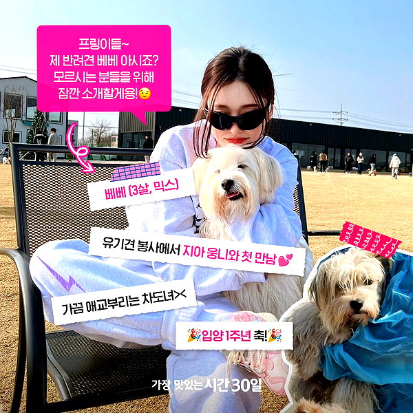 harimpetfood instagram image archive image