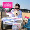 harimpetfood Altpins Profile Picture
