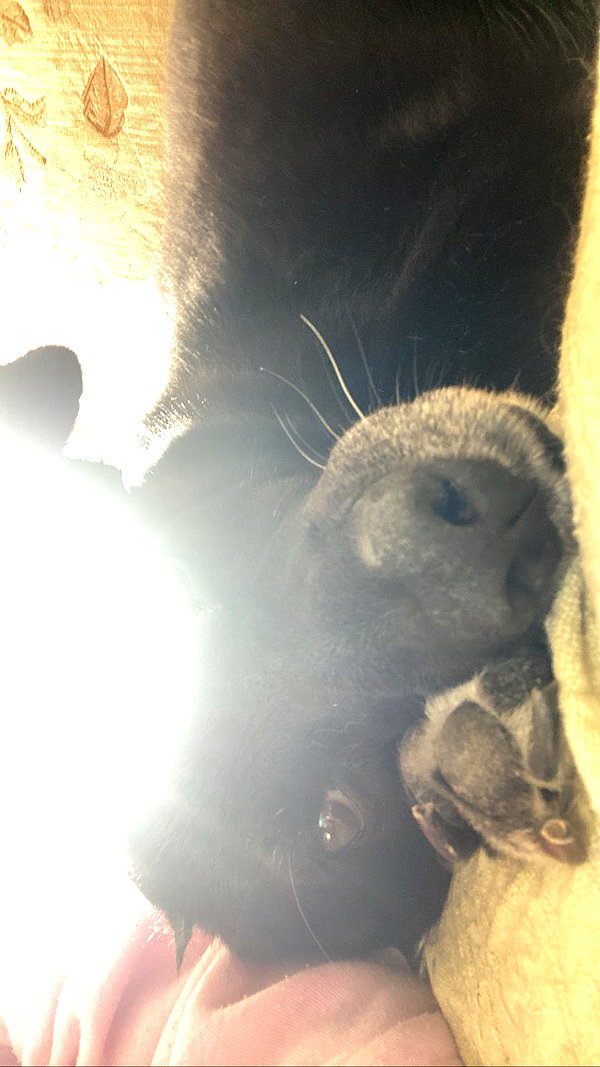 babynympho_archive instagram image archive image
