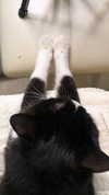 yuna_1_27 Altpins Profile Picture