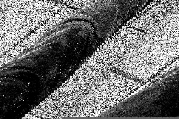 ting851204 ting851204 archive image