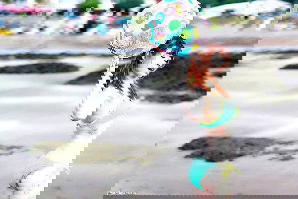 ting851204 ting851204 archive image