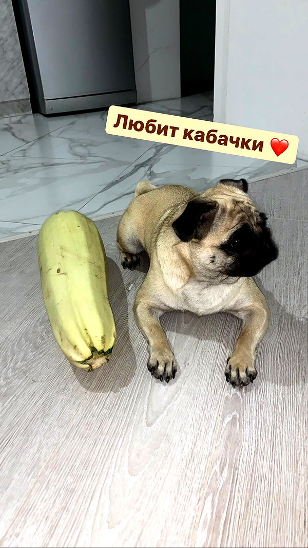 nyiityam instagram image archive image