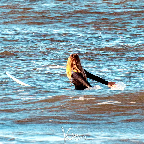 surfsterre instagram image archive image