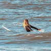 surfsterre Altpins Profile Picture