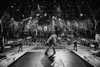 avrillavigne Altpins Profile Picture
