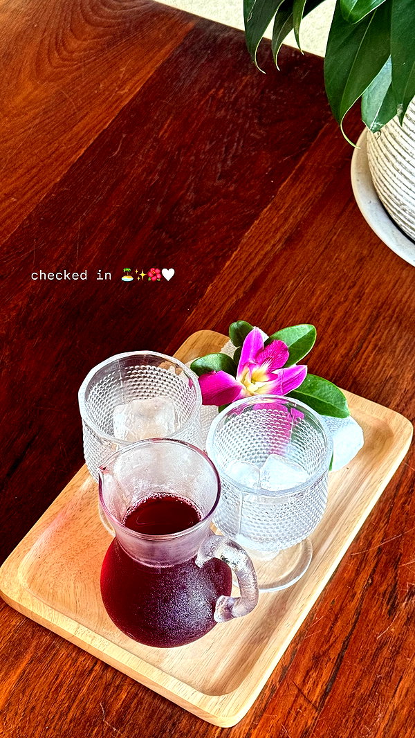 sophadophaa_ instagram image archive image