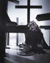 xier_cos Altpins Profile Picture