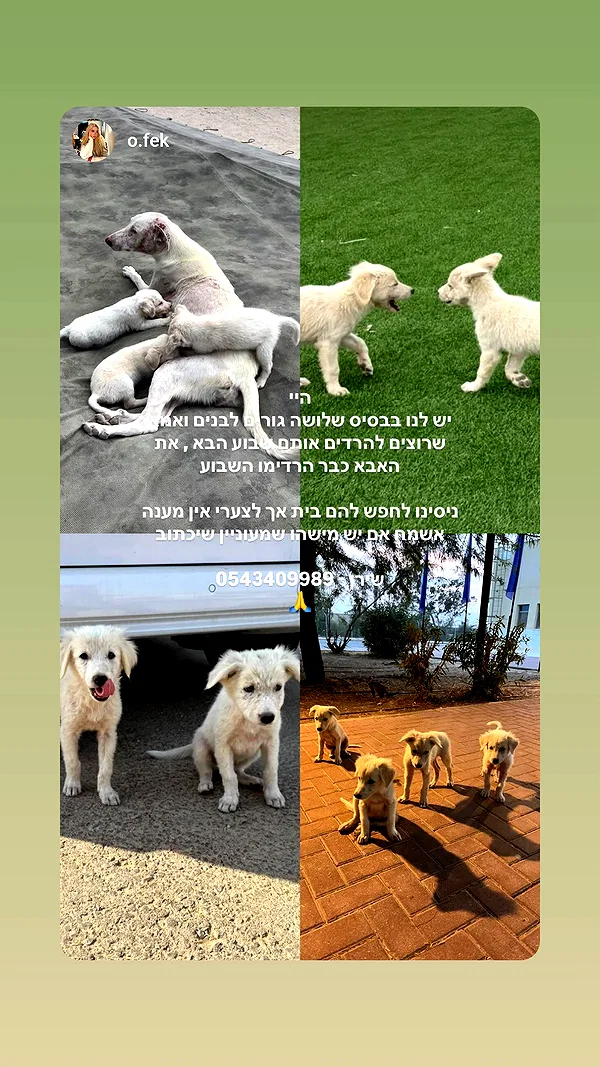 Archived image from @moonyyyya on Instagram