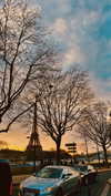 annabottoo Altpins Profile Picture