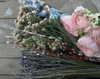 avestanova Altpins Profile Picture